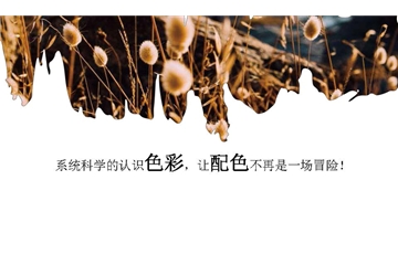 NCS自然色彩系统